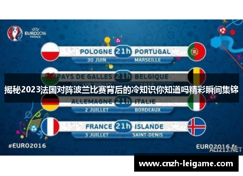 揭秘2023法国对阵波兰比赛背后的冷知识你知道吗精彩瞬间集锦 揭秘2023法国对阵波兰比赛背后的冷知识你知道吗精彩瞬间集锦