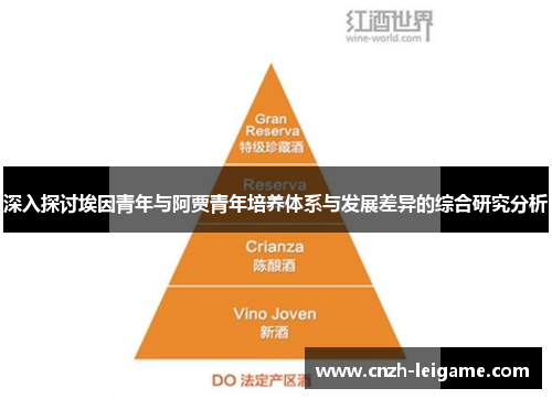 深入探讨埃因青年与阿贾青年培养体系与发展差异的综合研究分析 深入探讨埃因青年与阿贾青年培养体系与发展差异的综合研究分析