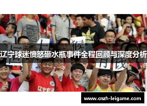 辽宁球迷愤怒砸水瓶事件全程回顾与深度分析