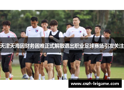 天津天海因财务困难正式解散退出职业足球赛场引发关注 天津天海因财务困难正式解散退出职业足球赛场引发关注