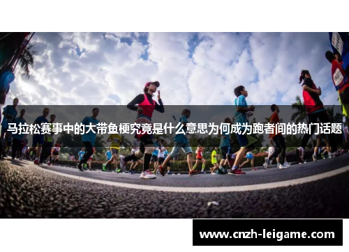 马拉松赛事中的大带鱼梗究竟是什么意思为何成为跑者间的热门话题