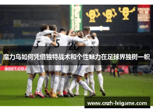 魔力鸟如何凭借独特战术和个性魅力在足球界独树一帜